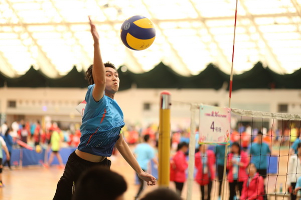 ����Z6 - ������ַ�ϰ�����