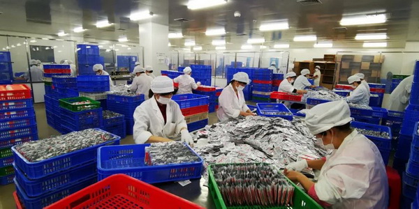 尊龙Z6 - 尊龙网址上岸官网