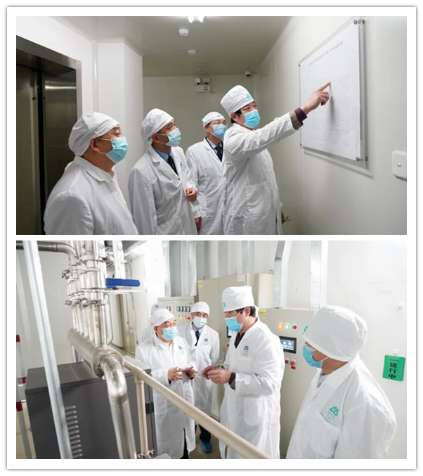 尊龙Z6 - 尊龙网址上岸官网