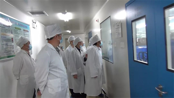 ����Z6 - ������ַ�ϰ�����