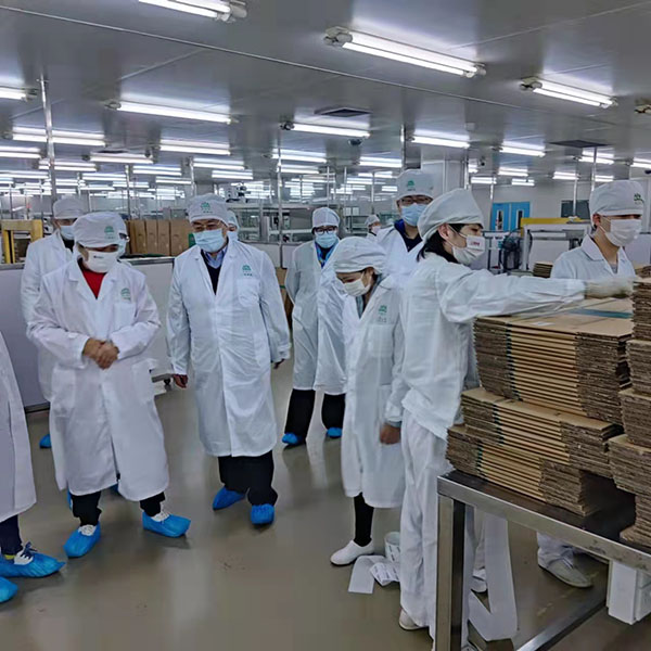 ����Z6 - ������ַ�ϰ�����