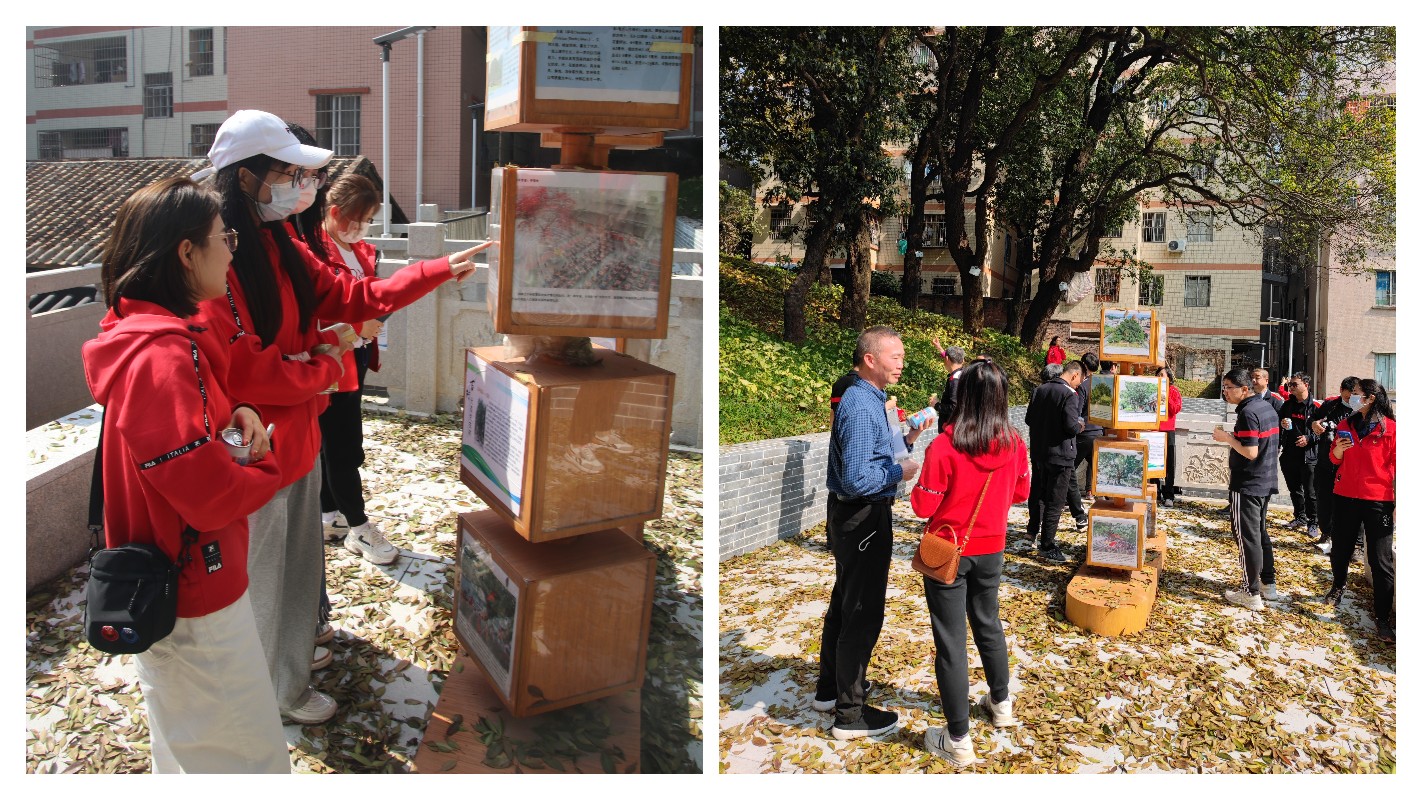 ×ðÁúZ6 - ×ðÁúÍøÖ·Éϰ¶¹ÙÍø