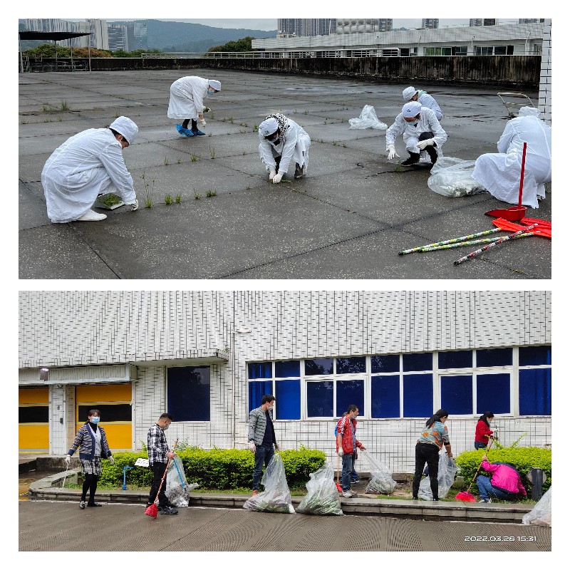 ����Z6 - ������ַ�ϰ�����