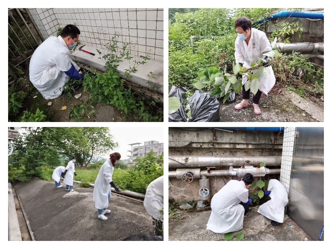 ����Z6 - ������ַ�ϰ�����