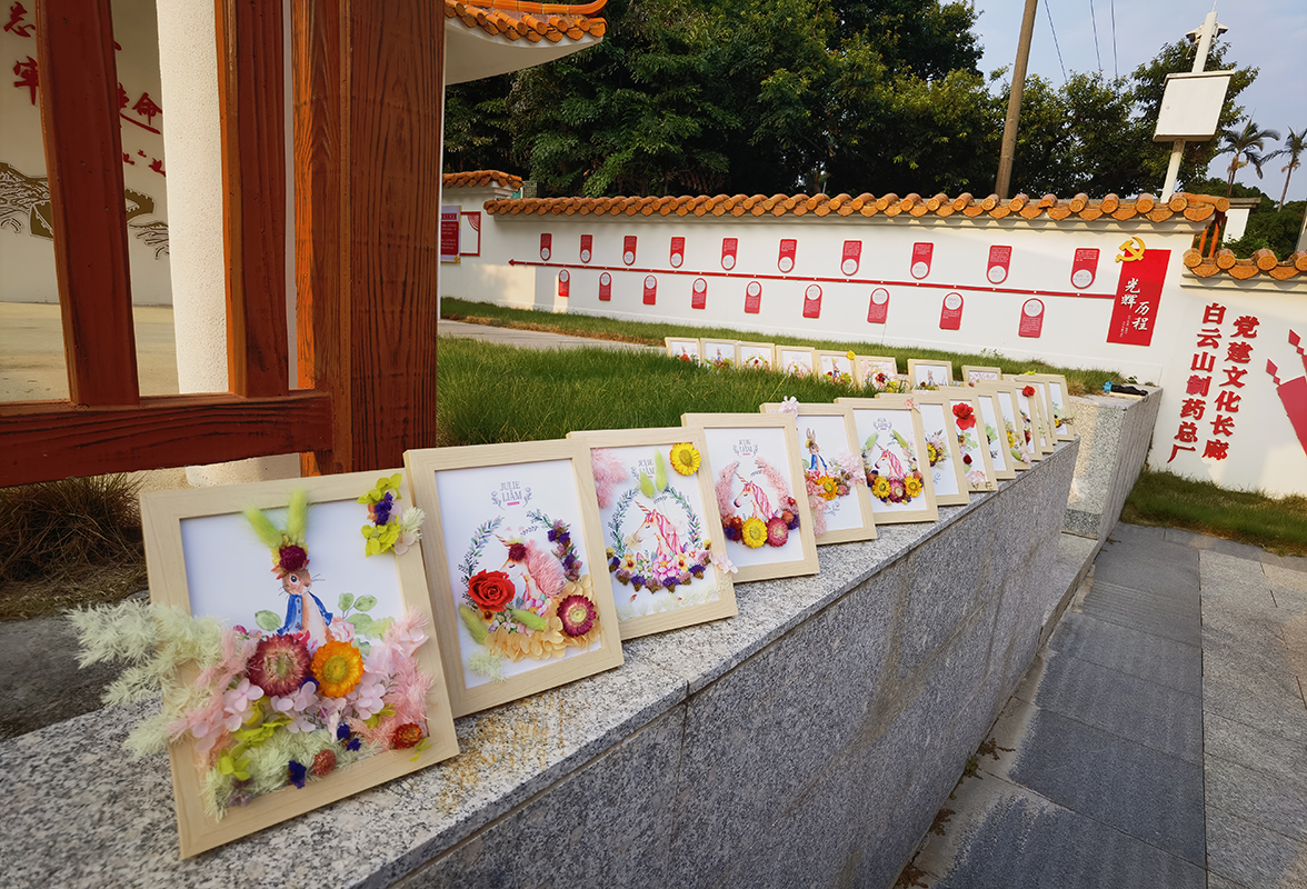 ����Z6 - ������ַ�ϰ�����