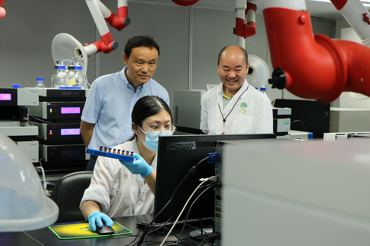 ����Z6 - ������ַ�ϰ�����