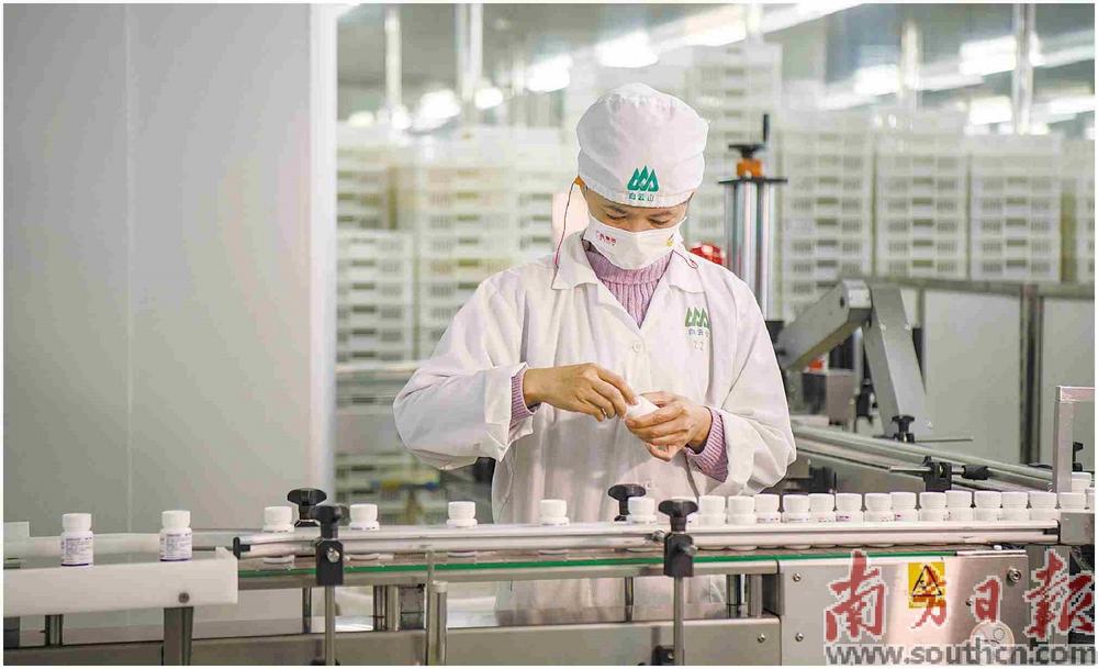 ×ðÁúZ6 - ×ðÁúÍøÖ·Éϰ¶¹ÙÍø