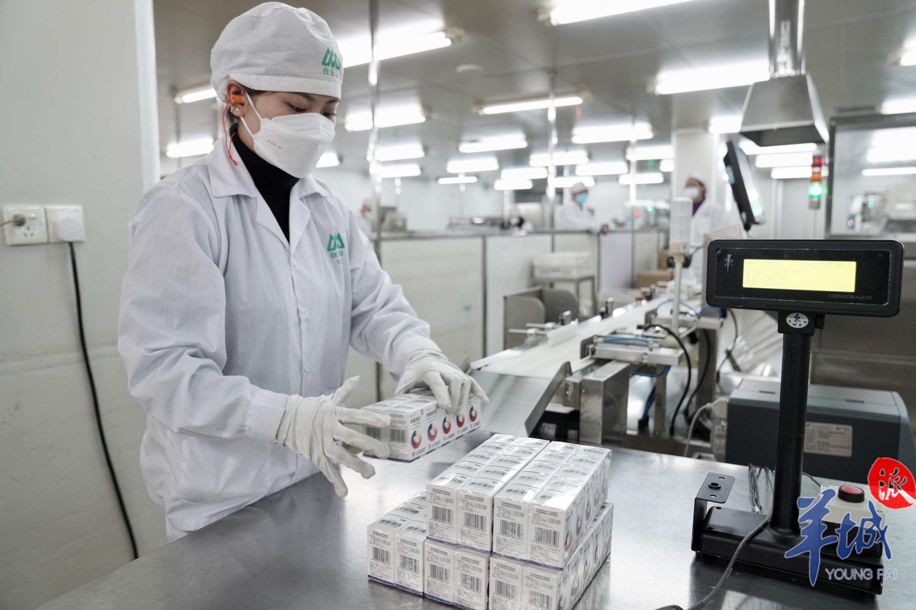 尊龙Z6 - 尊龙网址上岸官网