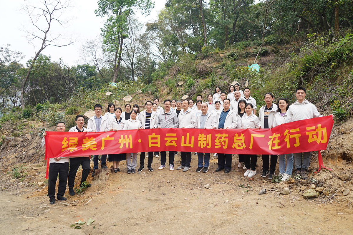 ����Z6 - ������ַ�ϰ�����