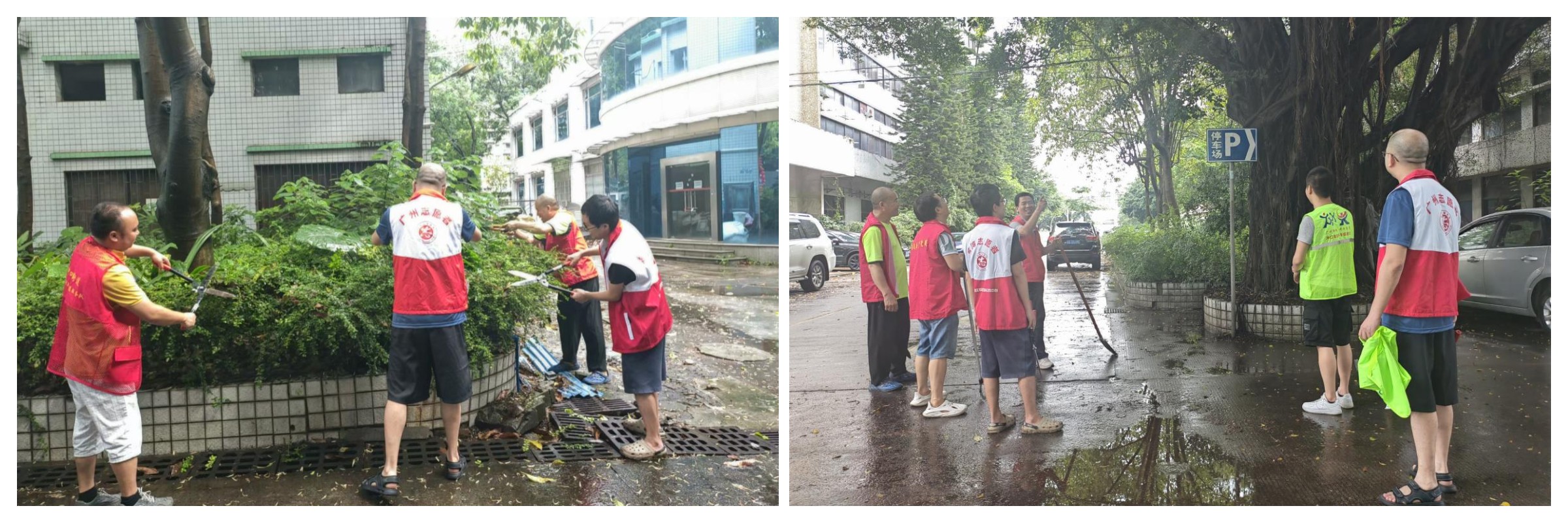 ����Z6 - ������ַ�ϰ�����